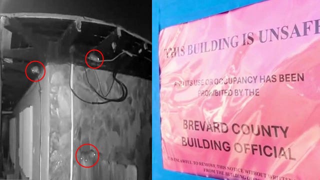 Rat infestation exploding at abandoned Indialantic house as neighbors plead for help