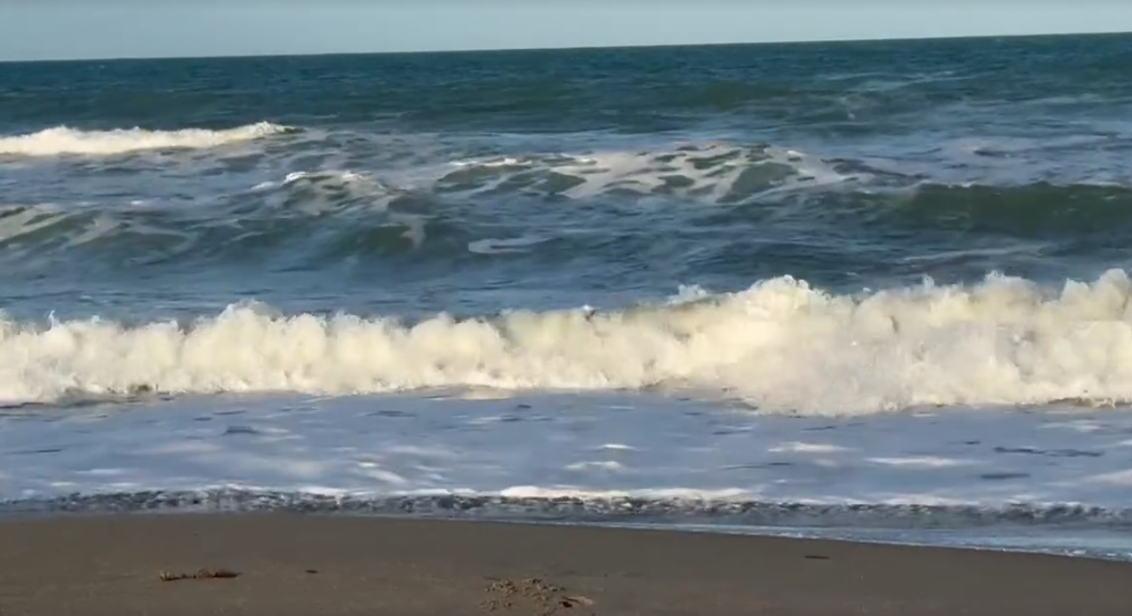 2 dead in Florida beach rip current: Active search for lifeguards underway