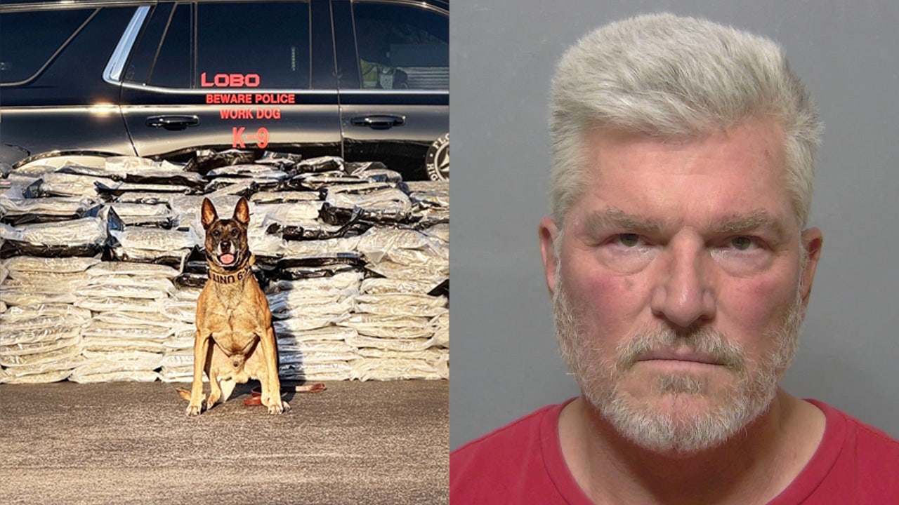 Florida K9 finds 2,000 pounds of marijuana inside RV in Sumter County, FHP says