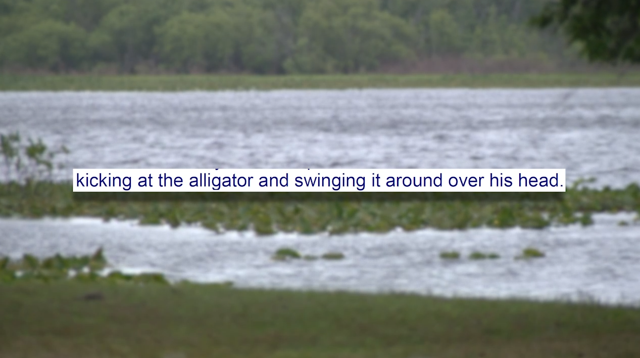 Florida teen arrested for swinging baby alligator by tail, kicking dirt on it, deputies say