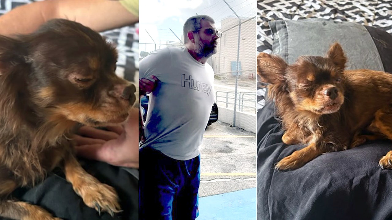 Man accused of beating Chihuahua arrested in Brevard County