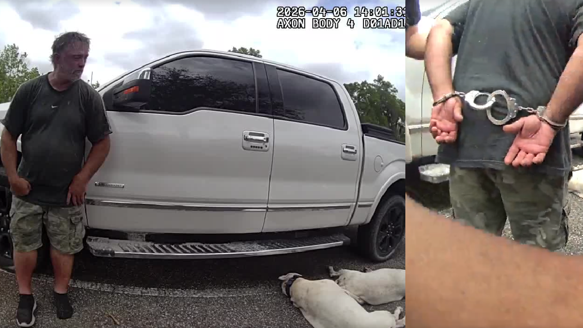 2 dogs die after locked in car in 78 degree weather, Volusia County deputies say