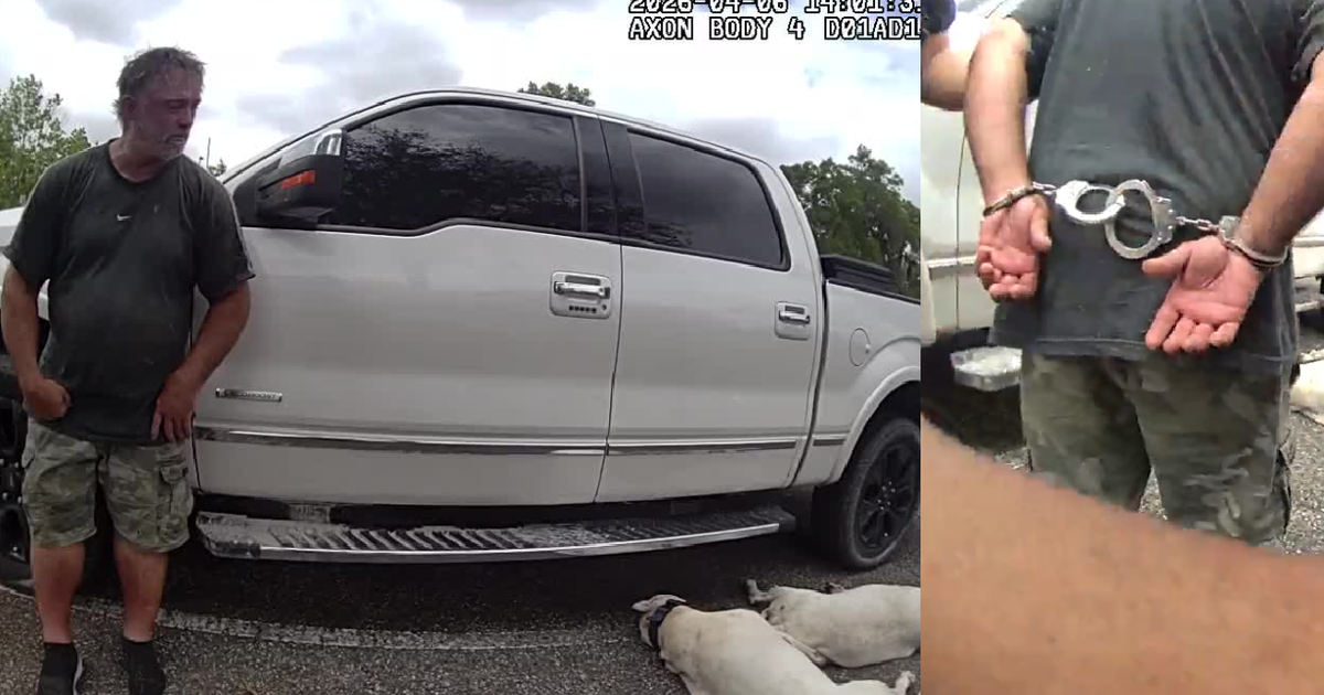 Two dogs die after being left in locked car in Volusia County, police say