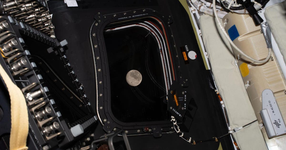 Why Artemis II astronauts didn’t land on the moon