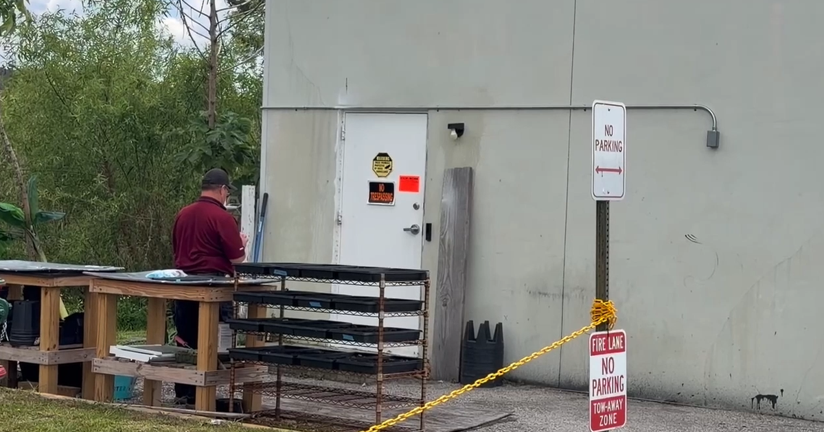 Sloth World: Warehouse lacked proper permits for animals; 'stop work' order issued by county