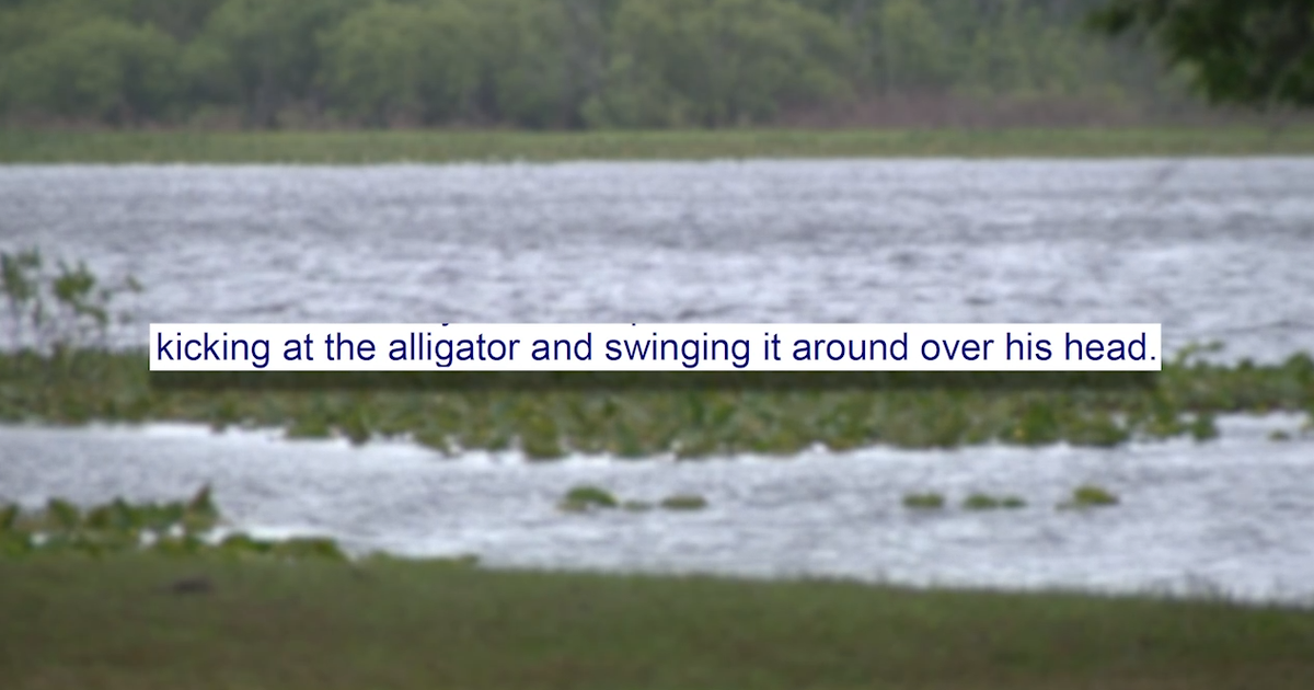 Florida teen arrested for swinging baby alligator by tail, kicking dirt on it, deputies say