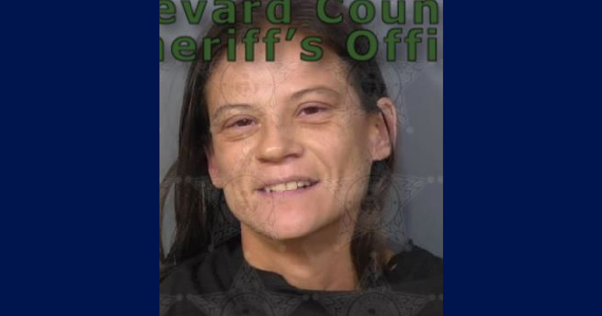 Florida mom accused of abandoning child for days in home full of feces, aggressive dogs