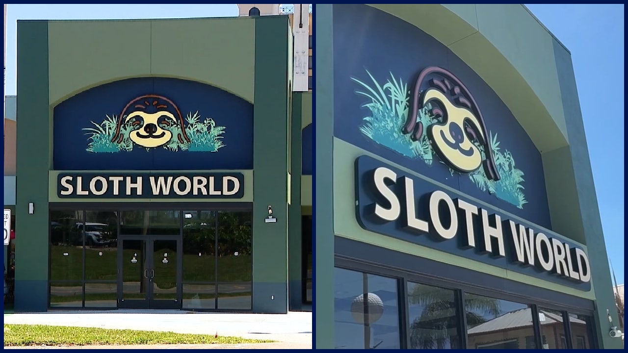 31 sloths died at Sloth World Orlando-owned warehouse: FWC reports