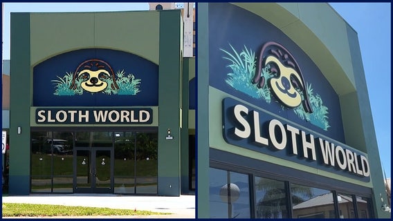 31 sloths died at Sloth World Orlando-owned warehouse: FWC reports