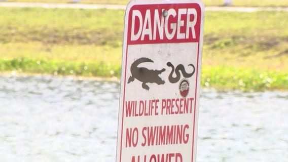 Alligator spotted near dog park in Oviedo prompts warning for park goers