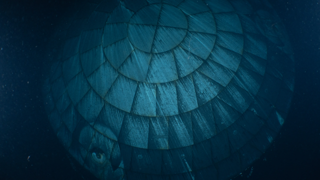 How did Artemis II's heat shield perform? New image, data released