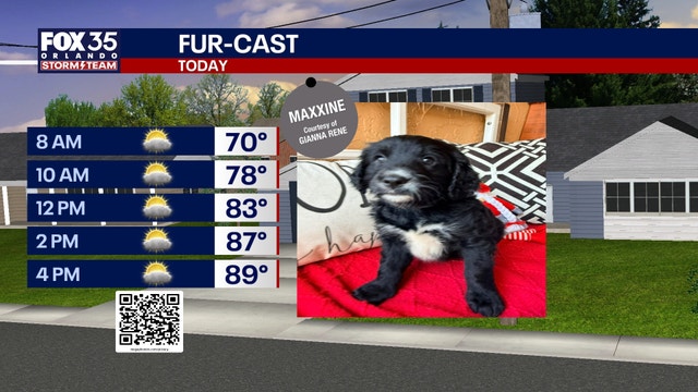 Orlando Weather: Warm, breezy Sunday before temperatures take a dip