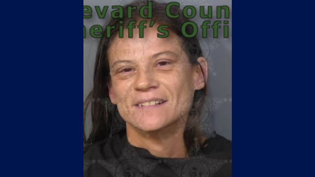 Florida mom accused of abandoning child for days in home full of feces, aggressive dogs