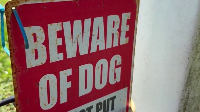 Merritt Island neighborhood terrorized by roaming dogs; nearly 20 cats killed