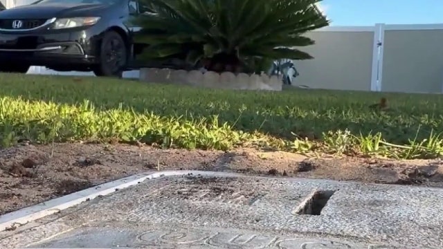 $800 utility bill stuns Orange County homeowner: 'I don't have a water park'