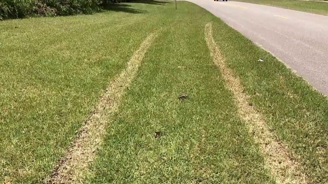 Off-road driving damages lawns in Port Orange neighborhoods, police say