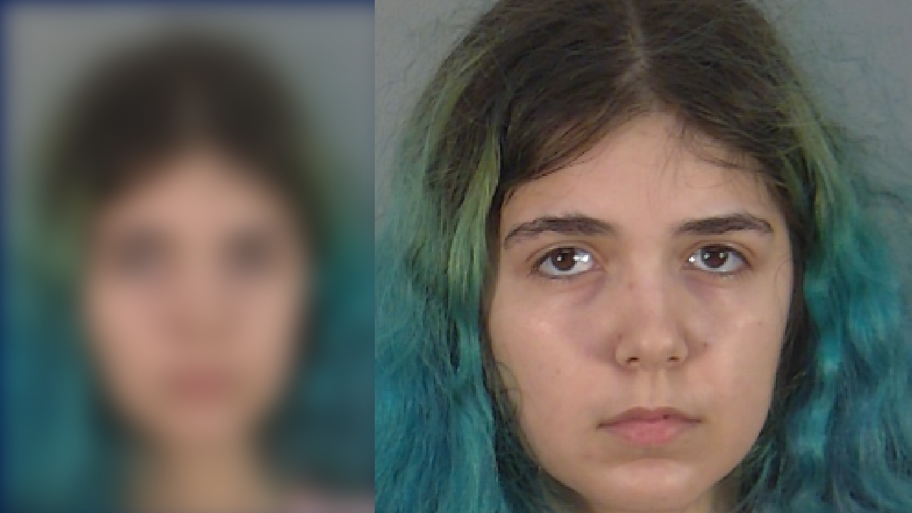 Drunk Florida teen, 18, hits motorcycle, home with car in chase, deputies say