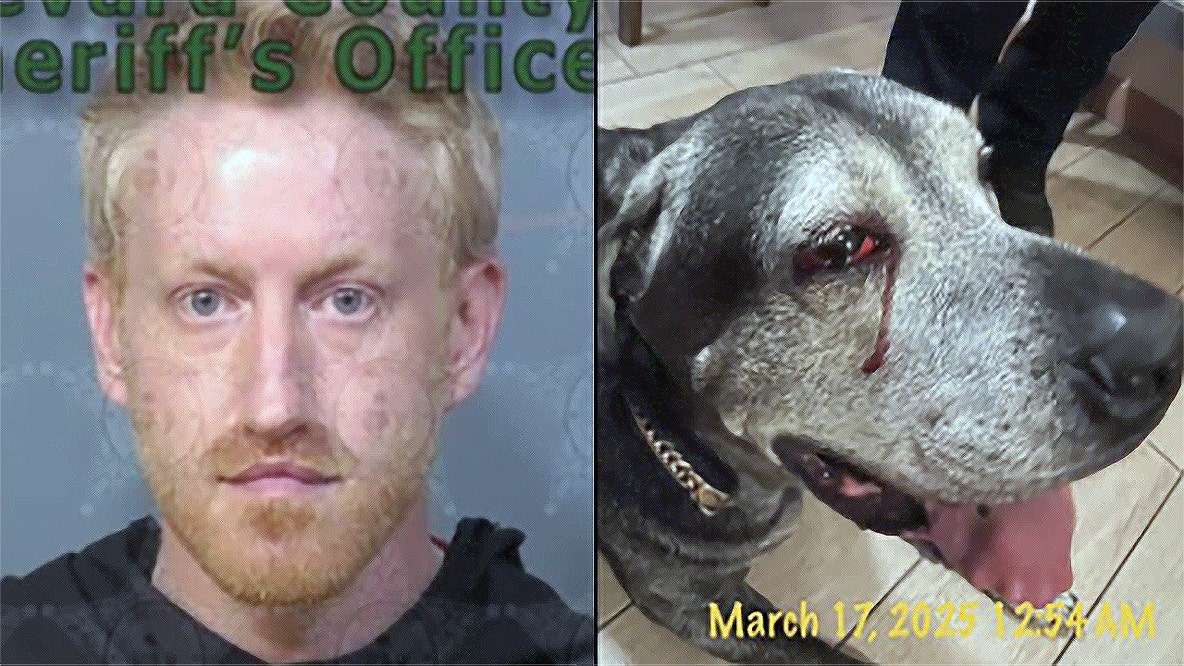 Palm Bay man convicted in dog stabbing case, prosecutors say