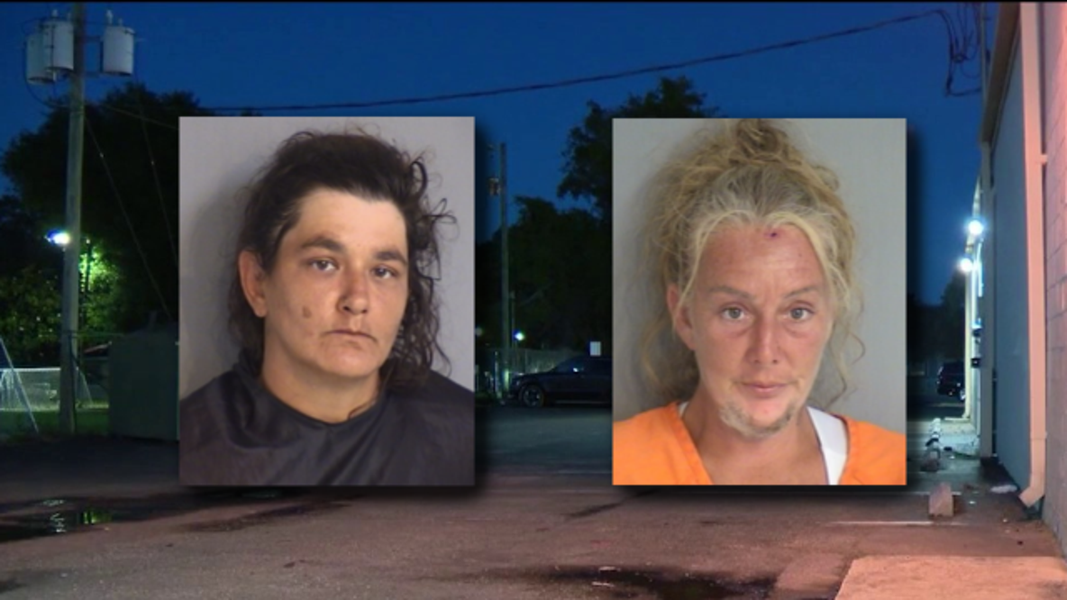 24 puppies, covered in poop and pee, rescued from bug-infested car in Kissimmee parking lot: Police