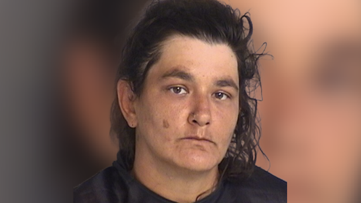 24 puppies, covered in poop and pee, rescued from bug-infested car in Kissimmee parking lot: Police