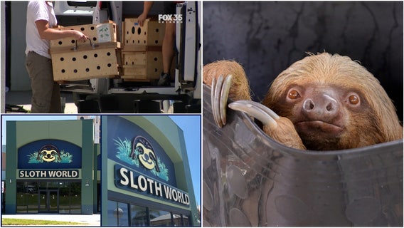 Sloth World another example of missed warehouse inspections in Orange County, commissioners admit