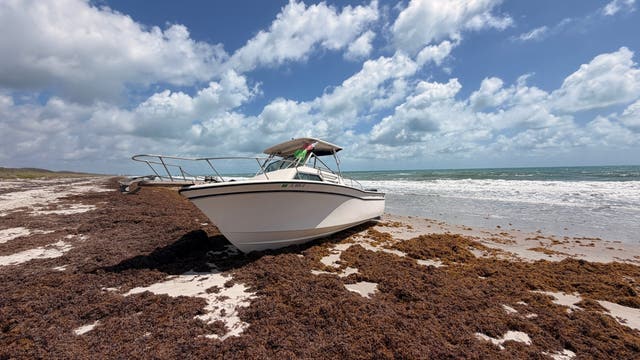 Distressed vessel beached in Brevard County after 9 rescued by Carnival cruise
