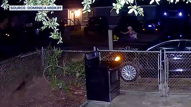 Deadly Cocoa dog attack: Arrest made in neighbor's mauling death