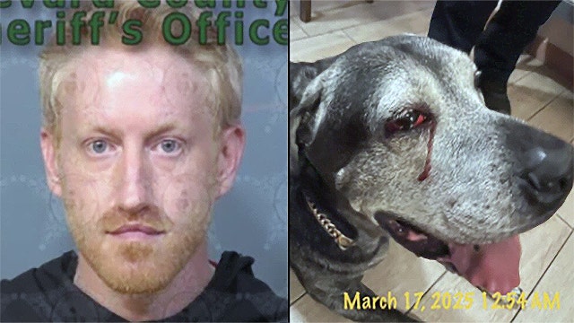Palm Bay man convicted in dog stabbing case, prosecutors say