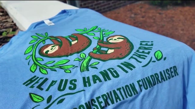 Sanford community raises funds to care for rescued sloths