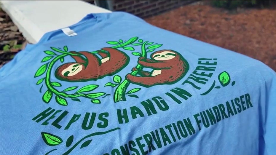 Sanford community raises funds to care for rescued sloths