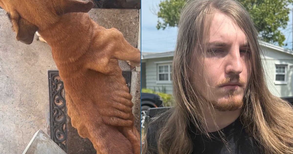 Brevard County man accused of starving dog to death, sheriff says
