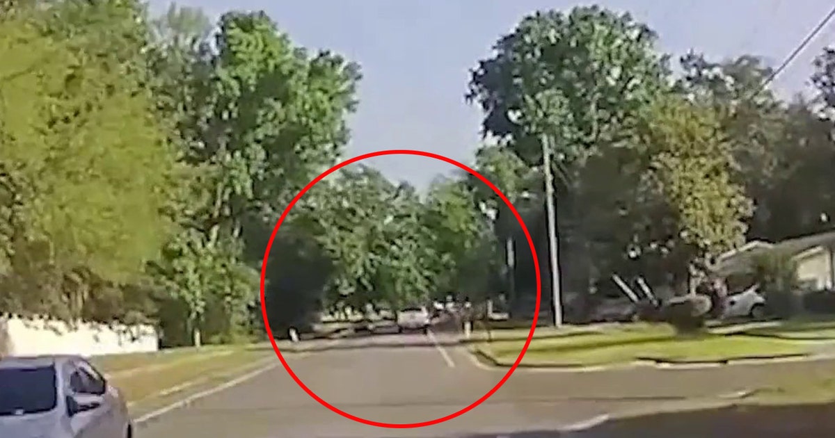 Winter Springs releases dashcam video of tree crashing onto car to justify tree removal spending