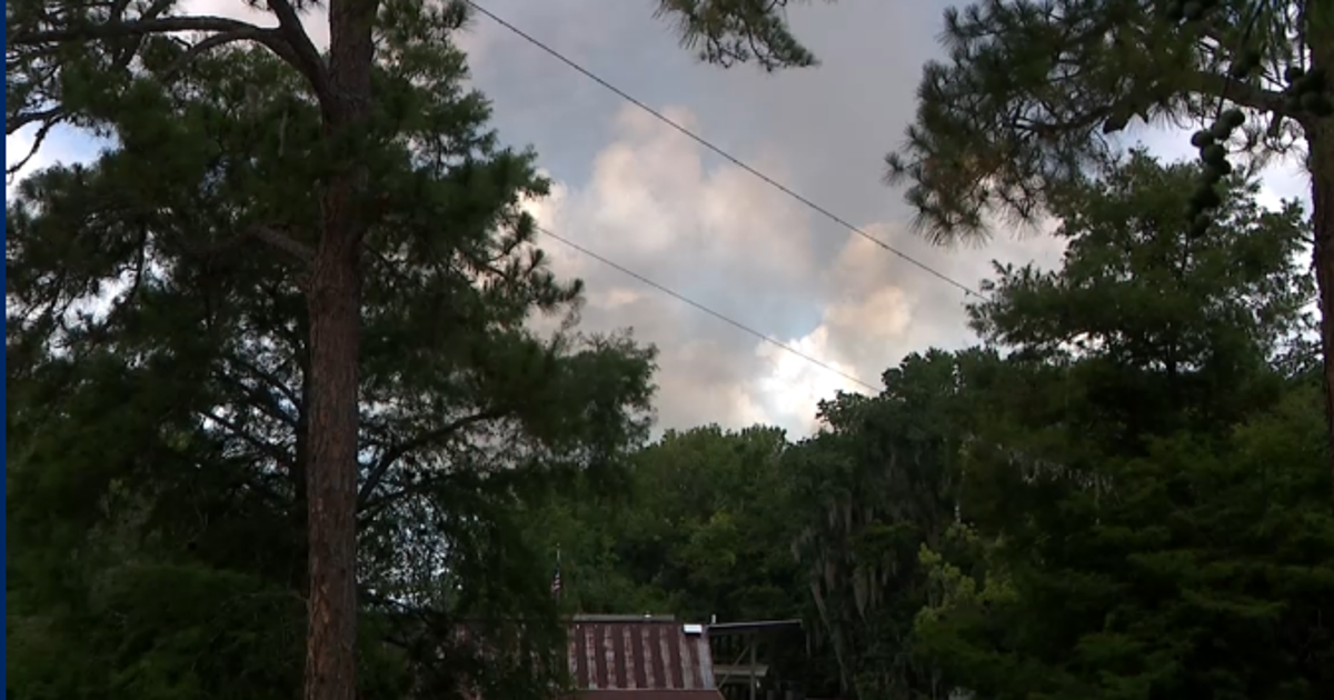 Volusia County wildfire: 600-acre blaze burning in Lake Woodruff National Wildlife Refuge, officials report