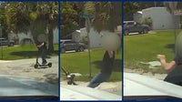 Video: Florida teen, 15, narrowly hits deputy's patrol car after allegedly running stop sign