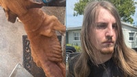 Brevard County man accused of starving dog to death, sheriff says