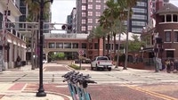 Winter Springs commissioner questions $427K tree removal bill