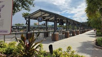 Disney World to restrict Disney Springs bus, boat access