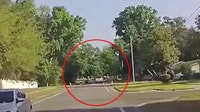 Winter Springs releases dashcam video of tree crashing onto car to justify tree removal spending