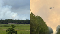 Volusia County Wildfires: Dual 250-acre brush fires fully contained in Maytown area