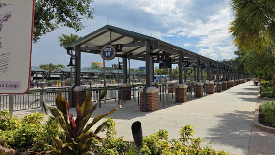Disney World to restrict Disney Springs bus, boat access