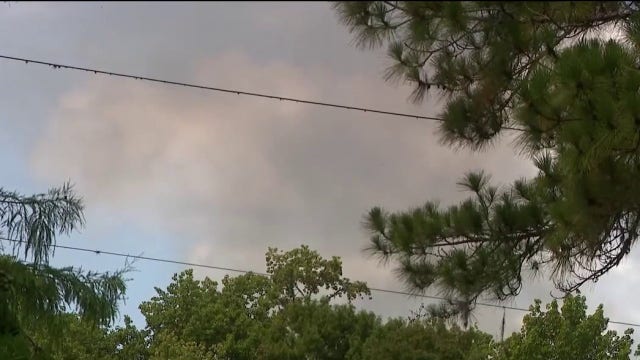 Lightning-sparked wildfire burns 600 acres in Volusia County