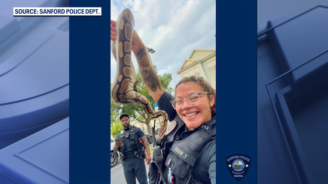 Police removes ball python from Florida apartment: 'Always ready to help'