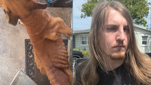 Brevard County man accused of starving dog to death, sheriff says