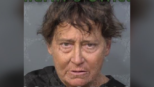 Brevard County woman accused of trying to hit children with vehicle, calling it 'target practice'