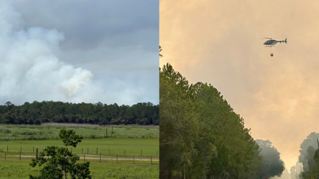 Volusia County Wildfires: Dual 250-acre brush fires fully contained in Maytown area