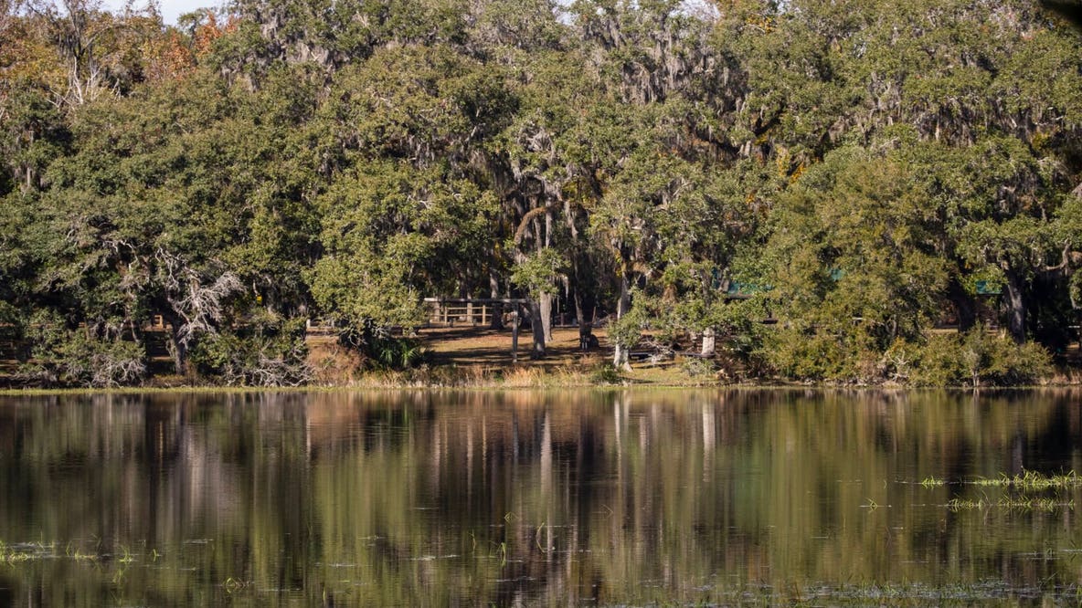 Authorities work to identify suspected drowning victim at Withlacoochee State Forest campground