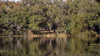 Authorities work to identify suspected drowning victim at Withlacoochee State Forest campground