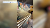 Video: Small fire sparks at Disney World's 'it's a small world' after portable charger ignites