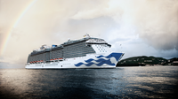 Princess crew member dies after going overboard on voyage out of Florida port