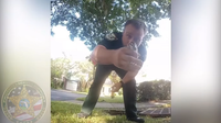 Duckling rescue: Florida deputy pulls 11 baby ducks from Gainesville storm drain